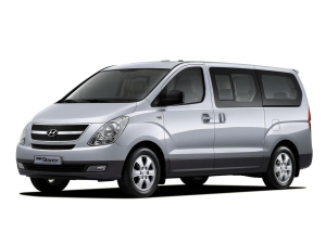 Коврик в багажник Hyundai Grand Starex II 2007-2018 (12 мест/9 мест без последнего ряда)*